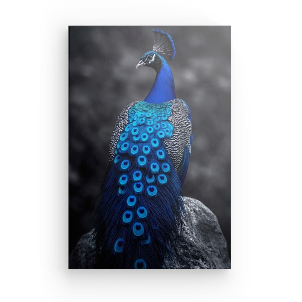 Tableau Bleu Paon Royal