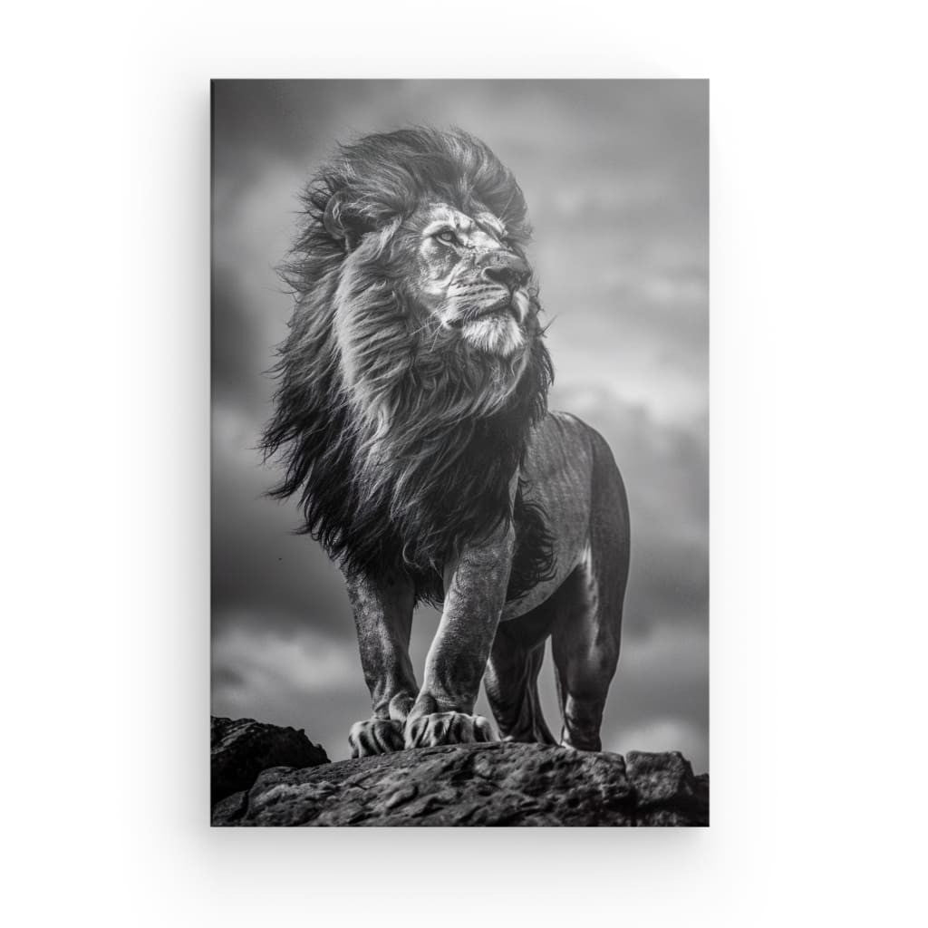 Tableau Lion Noir et Blanc